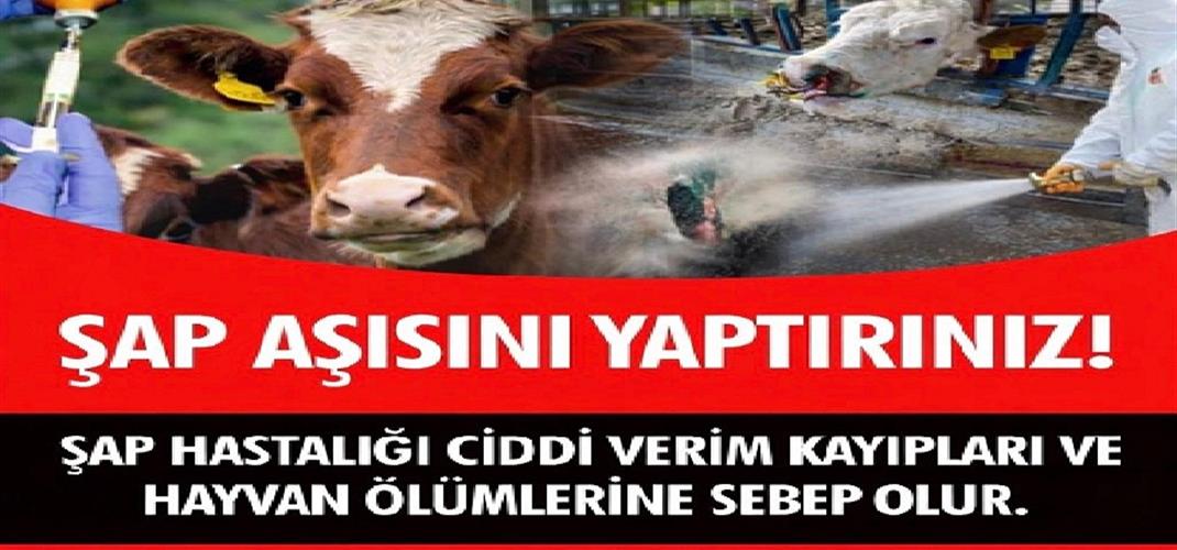 Şap Aşısını Yaptırın!