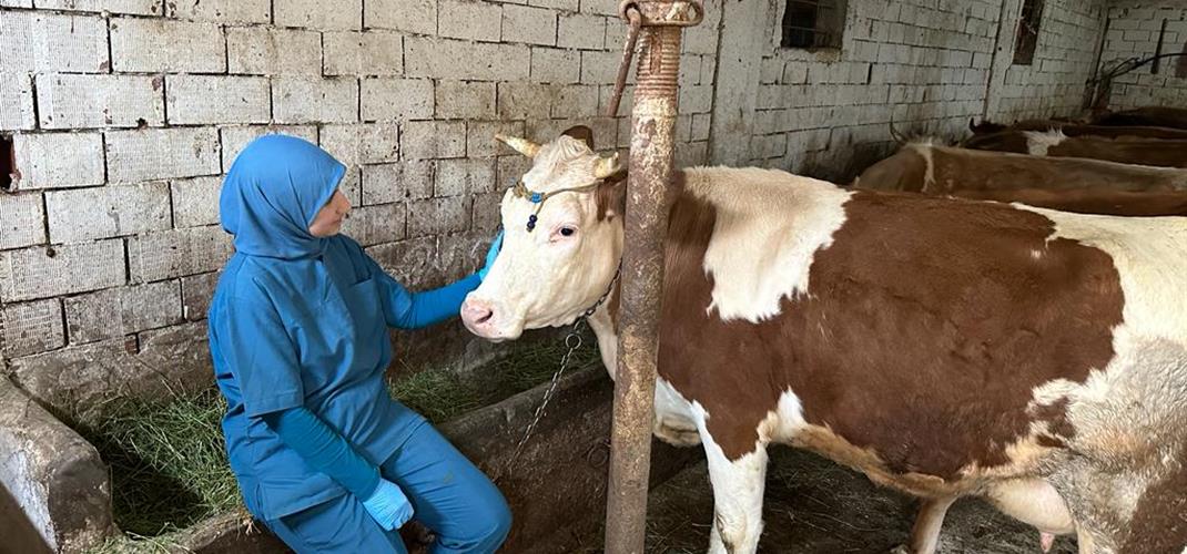 8 Mart Dünya Kadınlar Günü Kutlu Olsun.